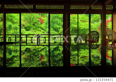 【佐賀県】新緑の環境芸術の森の風遊山荘から見た新緑 【佐賀県】新緑の環境芸術の森の風遊山荘から見た新緑 115354471