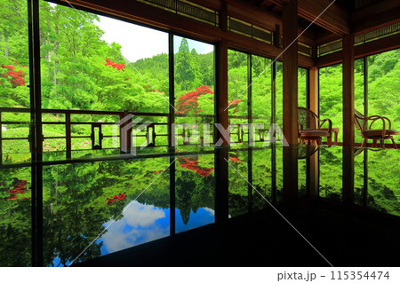 【佐賀県】新緑の環境芸術の森の風遊山荘から見た新緑 【佐賀県】新緑の環境芸術の森の風遊山荘から見た新緑 115354474
