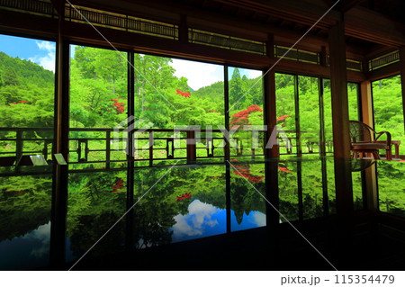 【佐賀県】新緑の環境芸術の森の風遊山荘から見た新緑 115354479