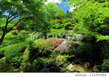 【佐賀県】新緑の環境芸術の森 新緑の庭園 【佐賀県】新緑の環境芸術の森 新緑の庭園 115354488