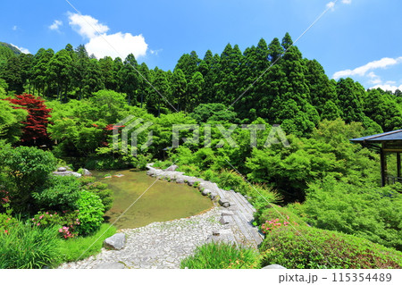 【佐賀県】新緑の環境芸術の森　新緑の庭園 115354489