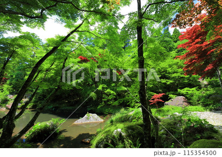 【佐賀県】新緑の環境芸術の森　新緑の庭園 115354500