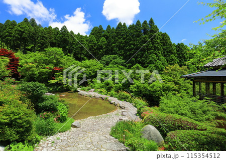 【佐賀県】新緑の環境芸術の森 新緑の庭園 【佐賀県】新緑の環境芸術の森 新緑の庭園 115354512
