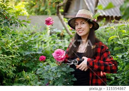 smiling young woman gardener trimming flowers with secateurs smiling young woman gardener trimming flowers with secateurs 115354867