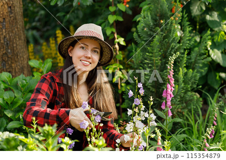 young woman gardener trimming flowers with secateurs in the garden 115354879