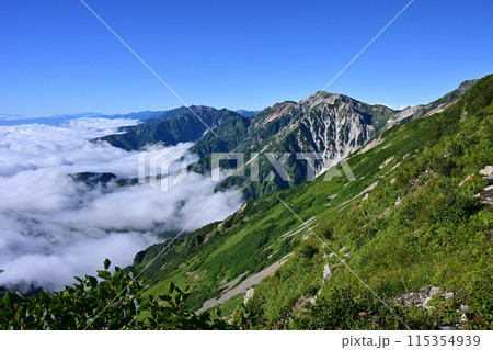 北アルプス鹿島槍・唐松岳 115354939