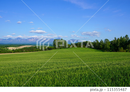 深山峠から見る風景（北海道上富良野町 115355487