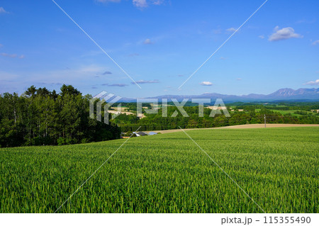 深山峠から見る風景(北海道上富良野町 深山峠から見る風景(北海道上富良野町 115355490