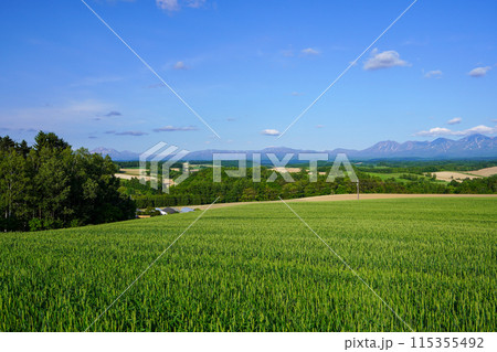 深山峠から見る風景（北海道上富良野町 115355492
