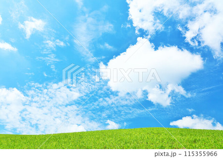 北海道　爽やかな夏の青空と新緑の草原風景 115355966