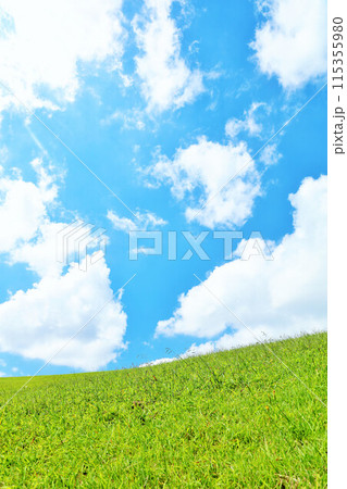 北海道 爽やかな夏の青空と新緑の草原風景 北海道 爽やかな夏の青空と新緑の草原風景 115355980