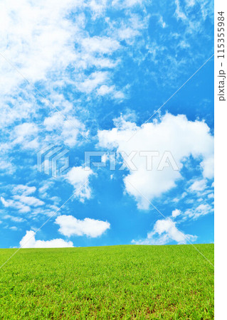 北海道 爽やかな夏の青空と新緑の草原風景 北海道 爽やかな夏の青空と新緑の草原風景 115355984