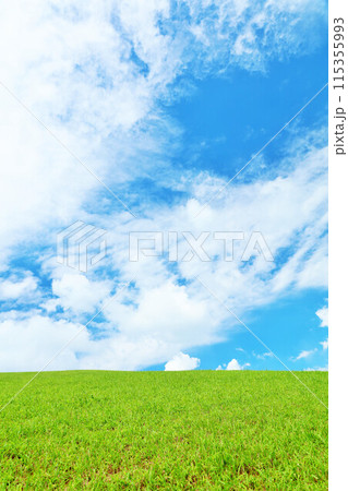 北海道　爽やかな夏の青空と新緑の草原風景 115355993