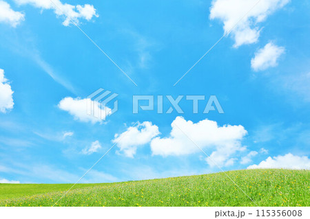 北海道　爽やかな夏の青空と新緑の草原風景 115356008