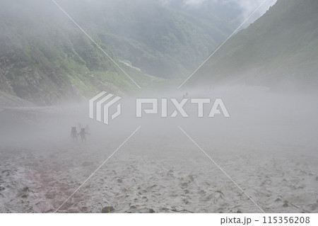 北アルプス白馬岳の大雪渓 115356208