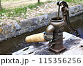 井戸 115356256