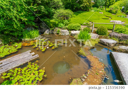京都市右京区　妙心寺塔頭　退蔵院の日本庭園　余香苑 115356390