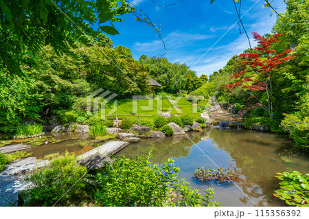 京都市右京区　妙心寺塔頭　退蔵院の日本庭園　余香苑 115356392