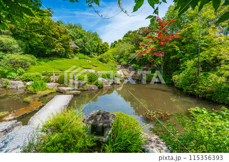 京都市右京区 妙心寺塔頭 退蔵院の日本庭園 余香苑 京都市右京区 妙心寺塔頭 退蔵院の日本庭園 余香苑 115356393