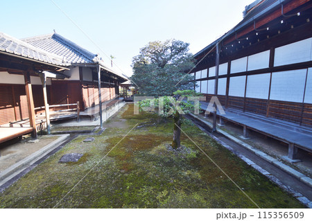 妙心寺の裏庭園 115356509