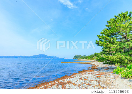 初夏の青海島　波の橋立　山口県長門市 115356698