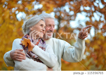 Loving mature couple in the park in summer Loving mature couple in the park in summer 115356703