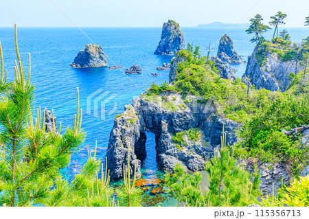 初夏の青海島 海上アルプス 山口県長門市 初夏の青海島 海上アルプス 山口県長門市 115356713