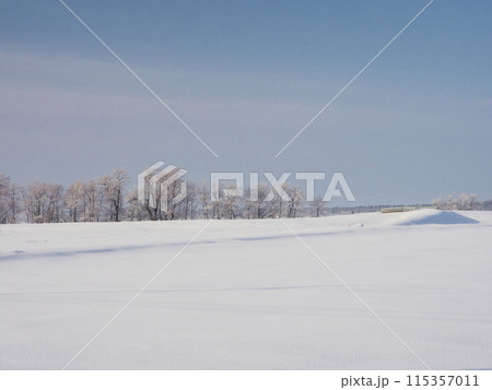 冬の北海道岩見沢市 ダイヤモンドダストに霞む雪原 冬の北海道岩見沢市 ダイヤモンドダストに霞む雪原 115357011