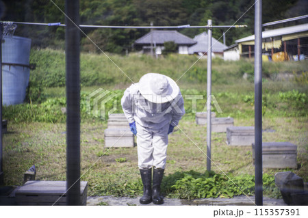 養蜂家の男性　イメージ 115357391
