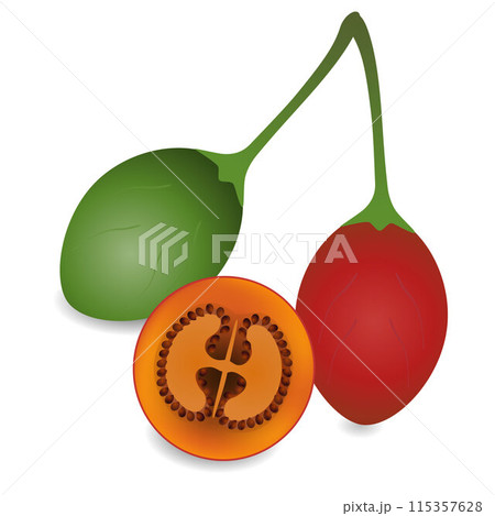 Exotic fresh tamarillo fruit isolated on white background. Exotic fresh tamarillo fruit isolated on white background. 115357628