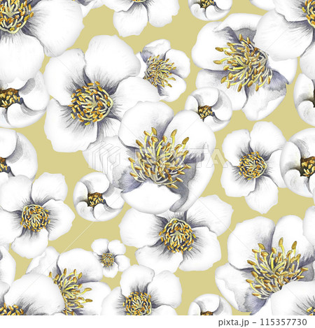 Seamless pattern with jasmine flowers. A hand-drawn watercolor illustration. On a warm gray background. For textiles, wallpapers and backgrounds. For packaging paper and label, printing and decoration 115357730