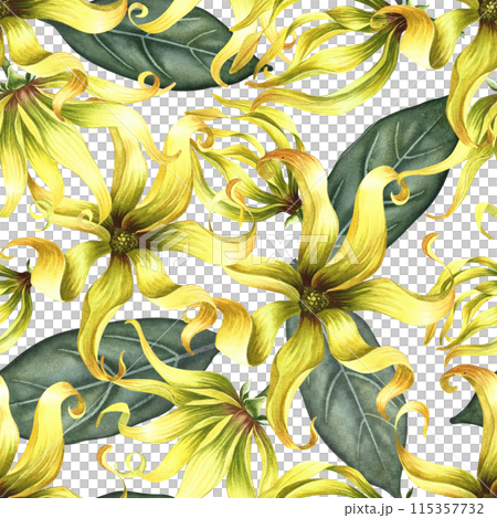 Seamless pattern with ylang-ylang flowers with leaves. A hand-drawn watercolor illustration. For textiles, wallpapers and backgrounds. For packaging paper and labels, printing and decoration. 115357732