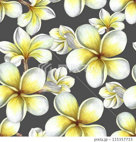 Seamless pattern with plumeria and frangipani flowers. Hand-made watercolor illustration. On a dark gray background. For textiles, wallpapers and backgrounds. For packaging paper and labels, printing 115357733