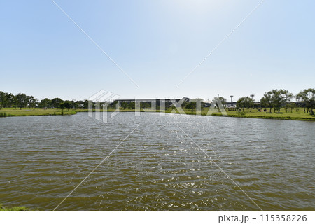 公園の中の大きな池 公園の中の大きな池 115358226