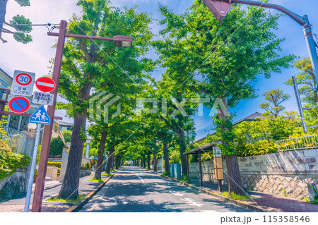 日本の東京都市景観 6月。田園調布駅の復元駅舎前から広がる住宅街などを望む=8日 日本の東京都市景観 6月。田園調布駅の復元駅舎前から広がる住宅街などを望む=8日 115358546