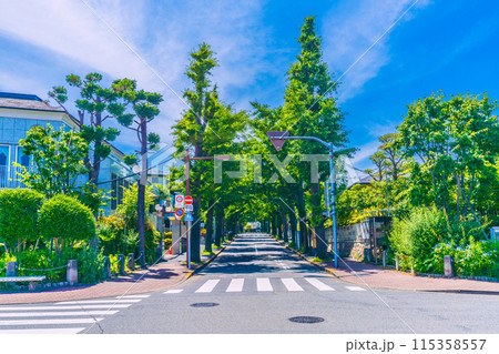 日本の東京都市景観 6月。田園調布駅の復元駅舎前から広がる住宅街などを望む＝8日 115358557