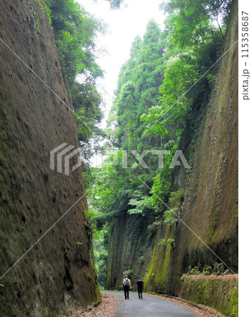 初夏の岩隈山の切通し　（熊本県山鹿市） 115358687