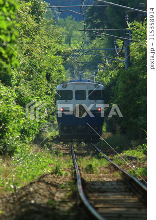 緑の中を走り抜けてゆく観光列車 115358914