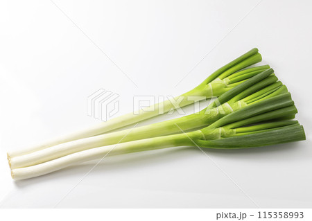 白バックの長ネギ 白バックの長ネギ 115358993
