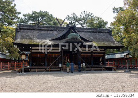 大阪/住吉大社の第一本宮(2024年4月9日撮影) 大阪/住吉大社の第一本宮(2024年4月9日撮影) 115359334