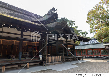 大阪/住吉大社の第一本宮(2024年4月9日撮影) 大阪/住吉大社の第一本宮(2024年4月9日撮影) 115359335