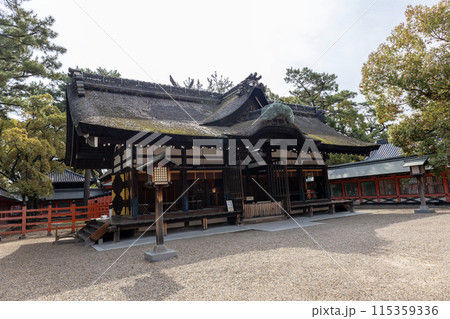 大阪／住吉大社の第一本宮（2024年4月9日撮影） 115359336