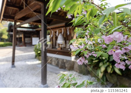 住吉大社の参集所(社務所)前の祠（2024年4月9日撮影） 115361241
