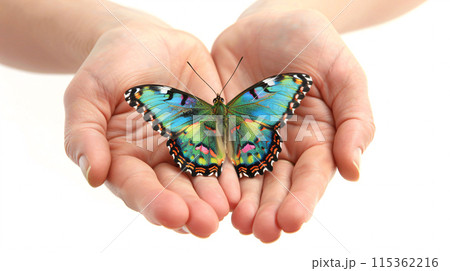 a person holding a butterfly in their cupped hands, its delicate wings outstretched out a person holding a butterfly in their cupped hands, its delicate wings outstretched out 115362216