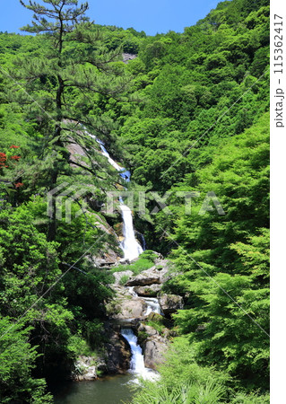 【佐賀県】新緑の見帰りの滝(日本の滝100選) 【佐賀県】新緑の見帰りの滝(日本の滝100選) 115362417