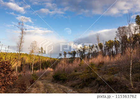 Autumn - winter path in evening forest above Wolf basin, moon on sky, Czech Canada, Czech Republic Autumn - winter path in evening forest above Wolf basin, moon on sky, Czech Canada, Czech Republic 115363762