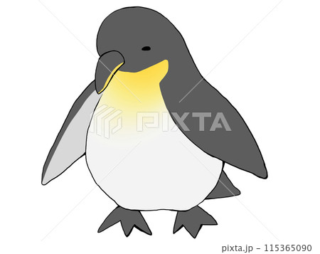 ペンギン ペンギン 115365090