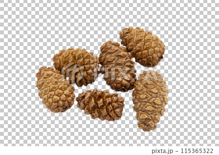 Collection of brown dry cedar cones of small size without background, lying still in a pile. Textured cones. Horizontal. For banner. Collection of brown dry cedar cones of small size without background, lying still in a pile. Textured cones. Horizontal. For banner. 115365322