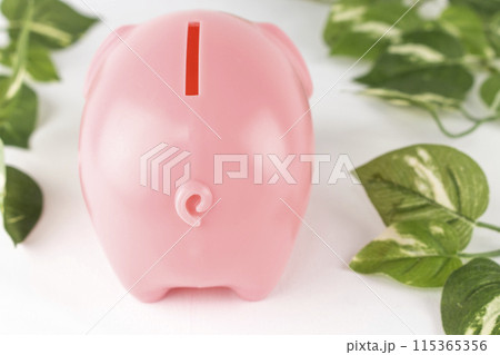 豚の貯金箱とフェイクグリーン。貯金イメージ 115365356