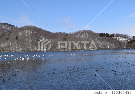 大山上池・下池 ラムサール条約登録地 115365456